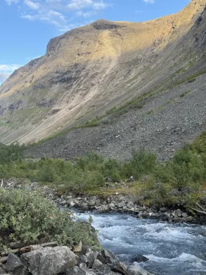 Steinras har etterlatt et lyst rasomr&aring;de i fjellsiden i Moskodalen. Elva renner i forgrunnen.